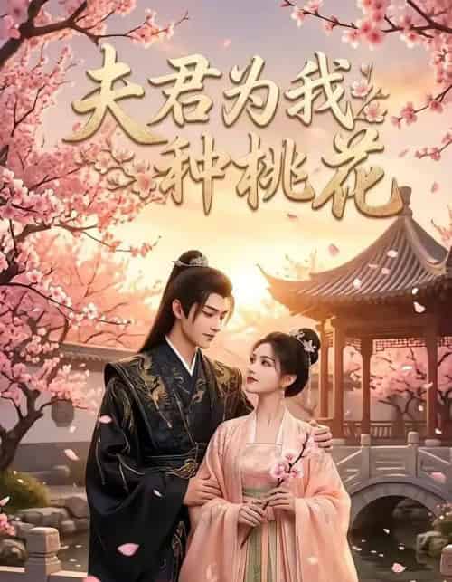 夫君为我种桃花（16集全）AI-紫橙资源网