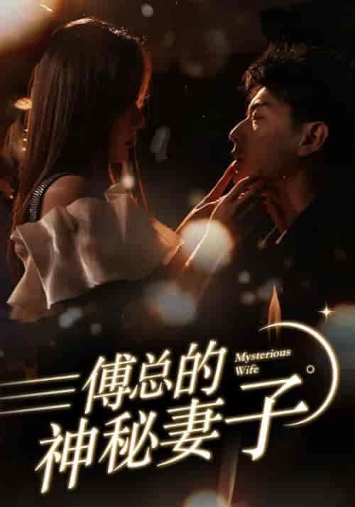 傅总的神秘妻子＆在逃娇妻美又飒（100集）-紫橙资源网