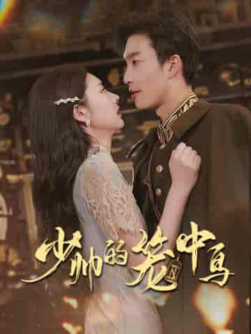 少帅的笼中鸟(70集)姚冠宇-紫橙资源网