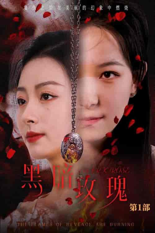 黑暗玫瑰（84集全）王艺阳-紫橙资源网
