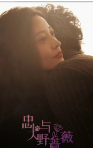 忠犬与野蔷薇（67集） - 紫橙短剧