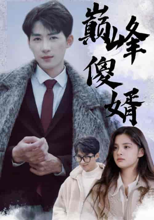 巅峰傻婿（100集全）秦朗＆楚月心-紫橙资源网