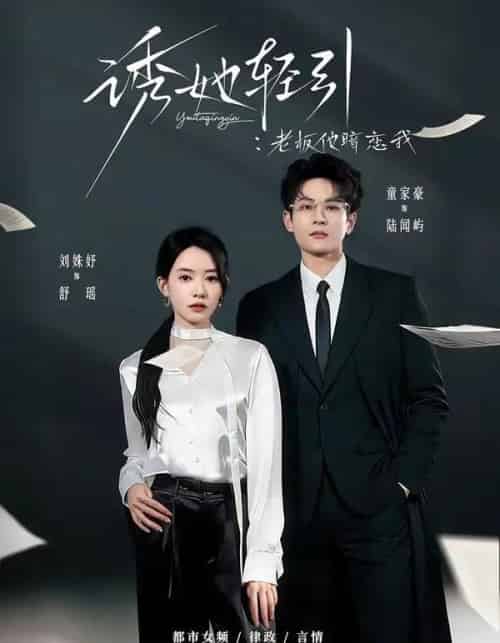 诱她轻引：老板他暗恋我（95集全）童家豪＆刘姝妤-紫橙资源网