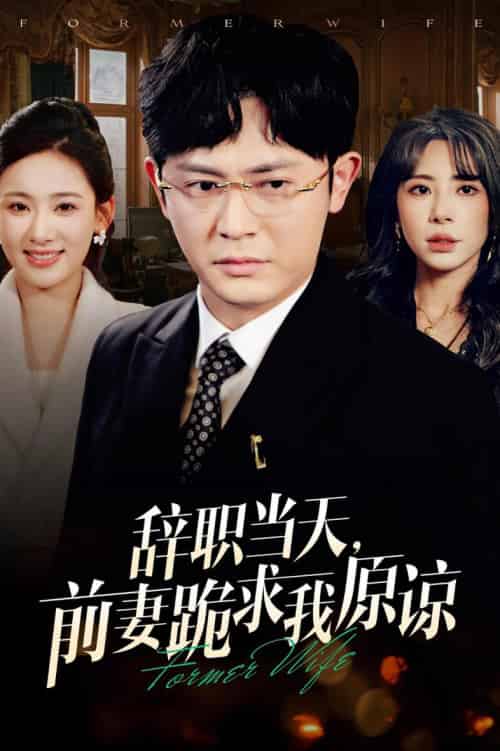 辞职当天前妻哭着求我原谅（23集全）-紫橙资源网