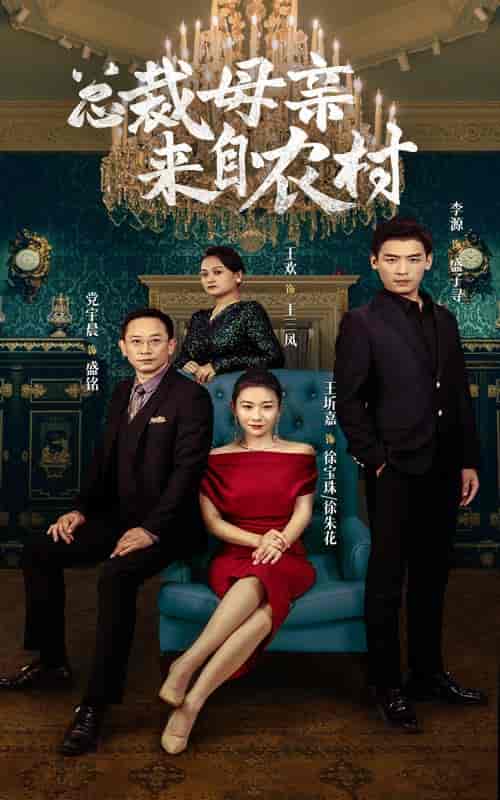 总裁母亲来自农村（58集全）-紫橙资源网