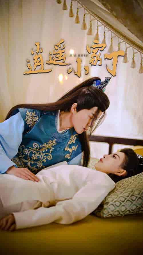 逍遥小家丁(100集)穿越剧-紫橙资源网