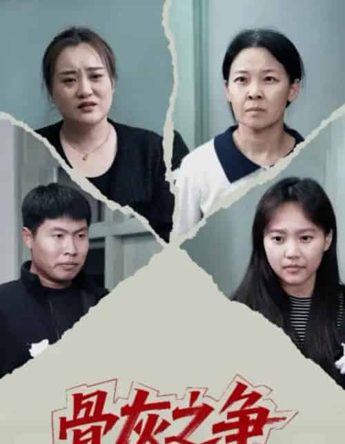 骨灰之争（30集全）于梳-紫橙资源网