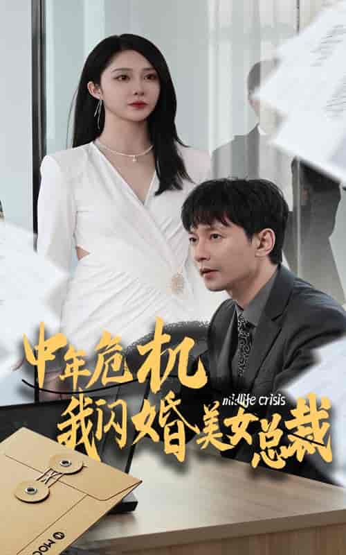 中年危机我闪婚美女总裁（61集全）-紫橙资源网