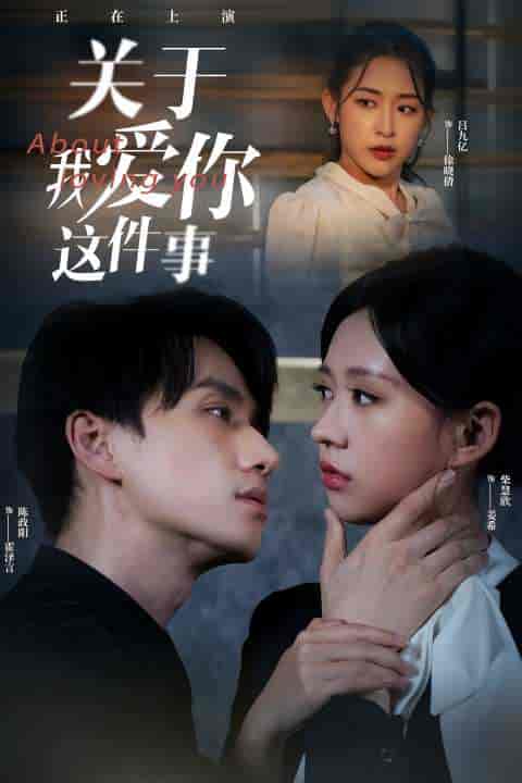 关于我爱你这件事(83集)陈政阳&柴慧欣-紫橙资源网