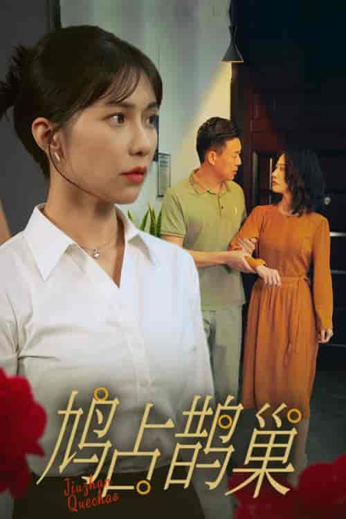 鸠占鹊巢（45集全）-紫橙资源网