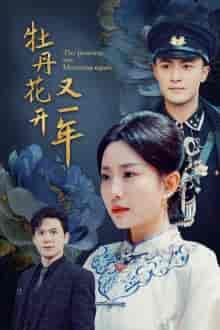 牡丹花开又一年（60集）-紫橙资源网