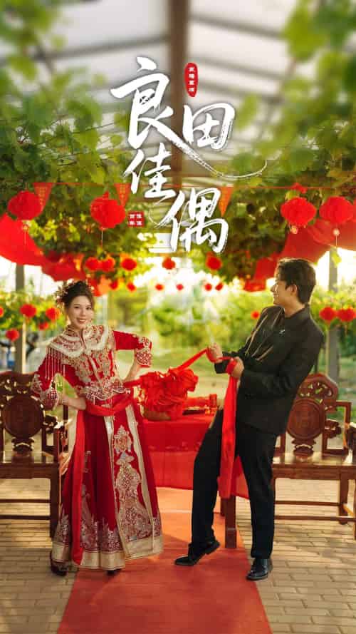 良田佳偶（51集）小雨老师 - 紫橙短剧