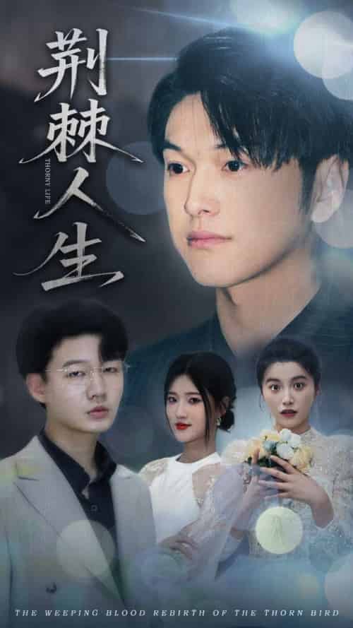 荆棘人生（74集）陈馨雨＆胥宁轲-紫橙资源网