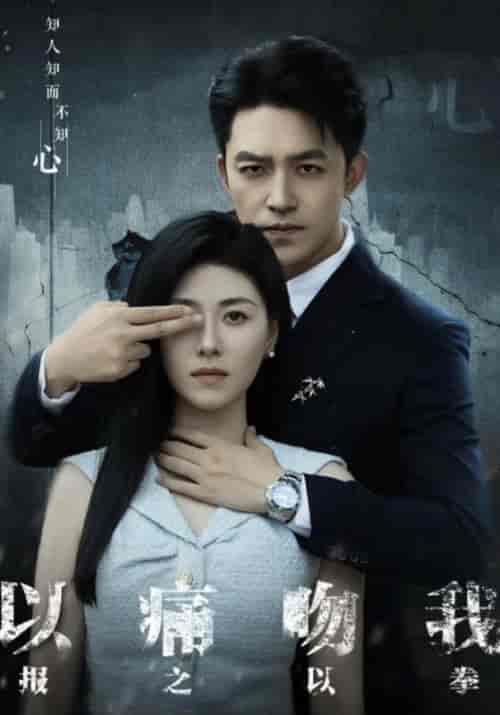 以痛吻我报之以拳（30集全）陈磊＆柳如烟-紫橙资源网