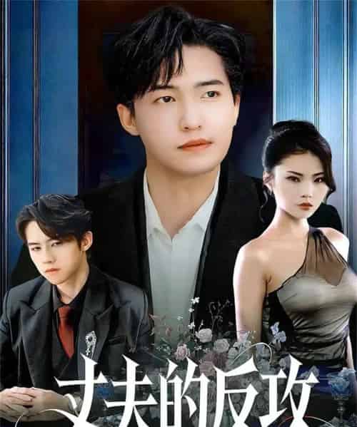 丈夫的反攻（78集全）刘小龙＆张艺轩-紫橙资源网