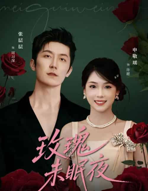 玫瑰未眠夜（71集全）张层层＆申敬瑶-紫橙资源网