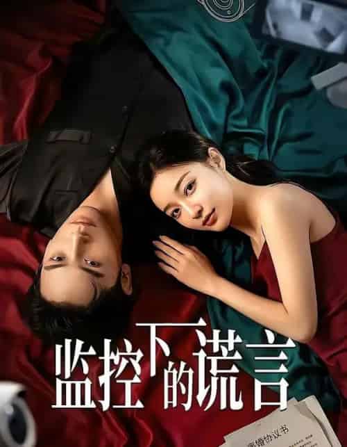 监控下的谎言（50集全）AI-紫橙资源网
