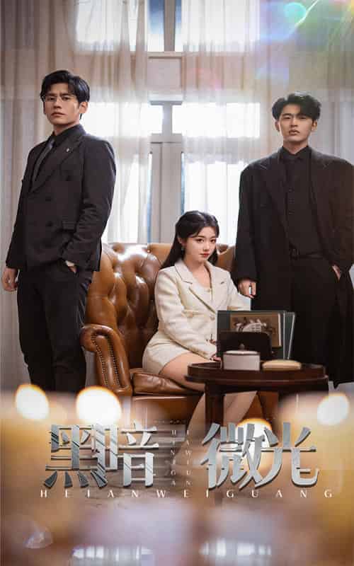 黑暗微光（66集全）墨凝-紫橙资源网