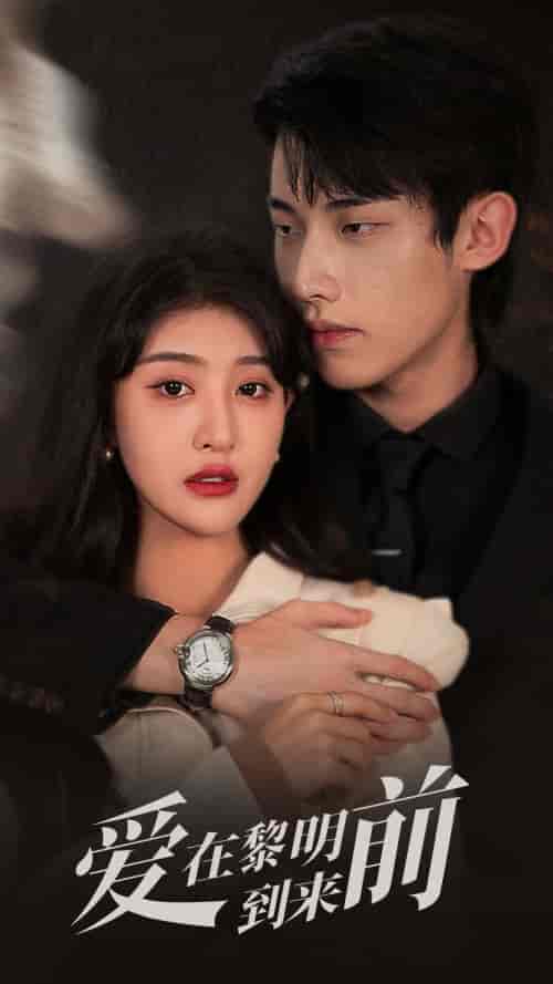 爱在黎明到来前(36集全)喻嘉琳-紫橙资源网