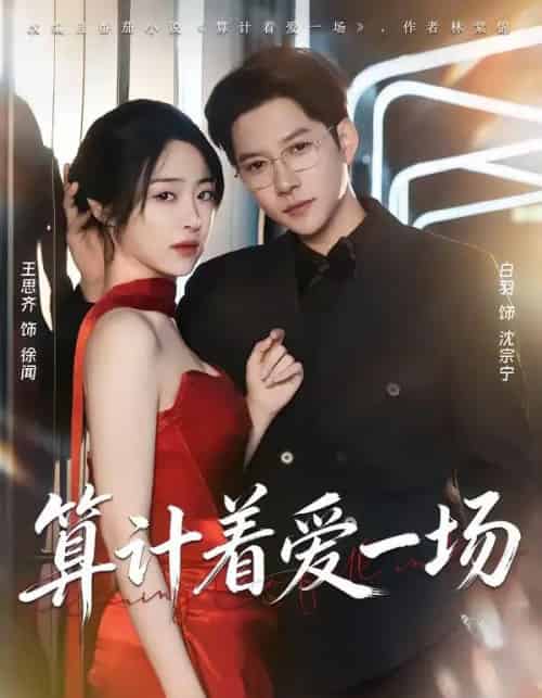 算计着爱一场（81集全）白羽＆王思齐-紫橙资源网