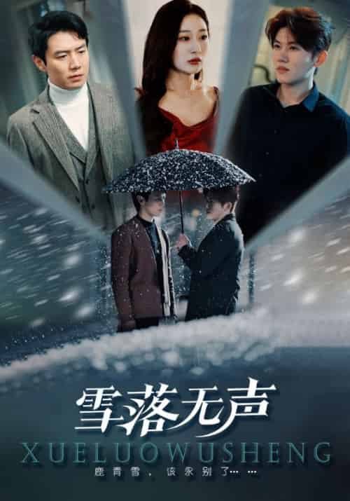 雪落无声（51集全）段禁城＆鹿青雪-紫橙资源网