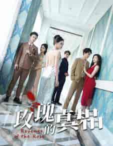 玫瑰的真相(75集)-紫橙资源网