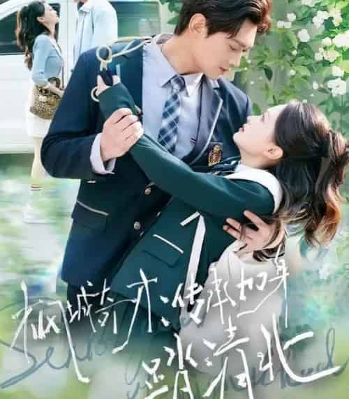 枫城奇才：传承加身踏清北（80集全）俞玟霞＆杨紫皓-紫橙资源网