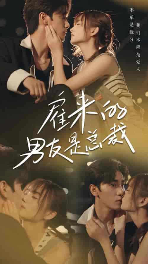 雇来的男友是总裁（50集全）-紫橙资源网