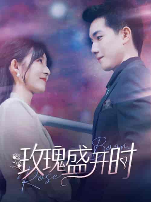 玫瑰盛开时 玫瑰盛开时