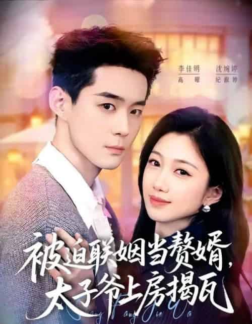 被迫联姻当赘婿,太子爷上房揭瓦(80集全)沈婉婷&李佳明-紫橙资源网