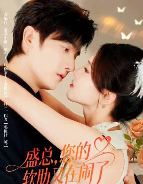 盛总，您的软肋又在闹了（80集全）林潇＆张许焓-紫橙资源网