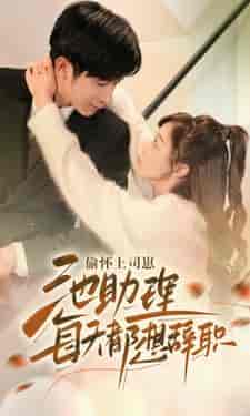 偷怀上司崽池助理每天都想辞职（74集）-紫橙资源网