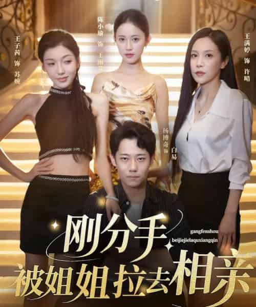 刚分手被姐姐拉去相亲＆分手被姐姐拉去相亲（73集）王子茜＆陈小瑜＆王满婷-紫橙资源网