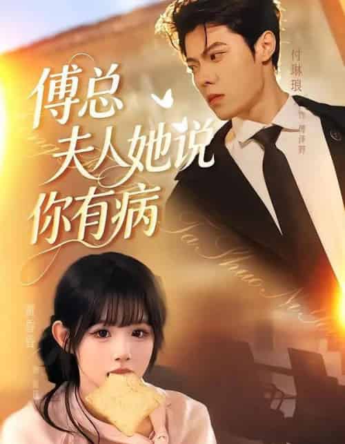 傅总夫人她说你有病（65集全）黄昏昏＆付琳琅-紫橙资源网