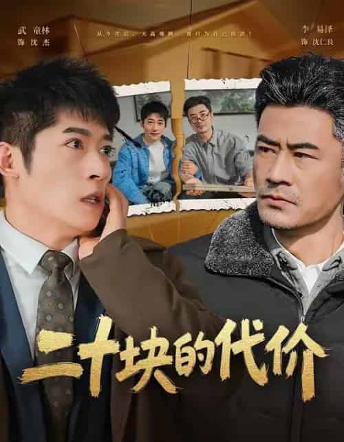 二十块的代价(64集全)李易泽&陈旭-紫橙资源网