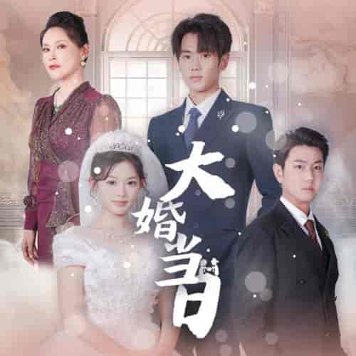 大婚当日(50集)-紫橙资源网