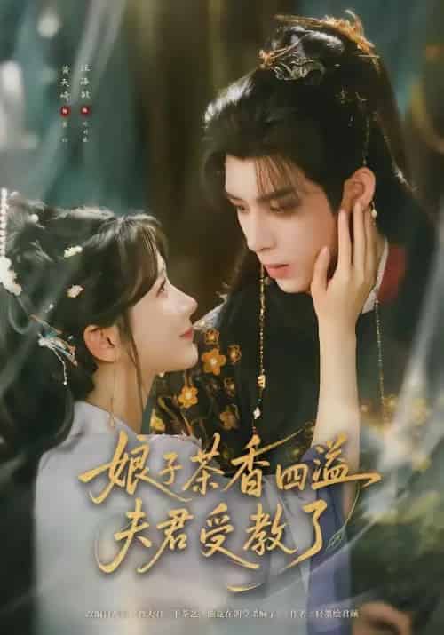 娘子茶香四溢夫君受教了(92集全)黄天崎&汪海敏-紫橙资源网