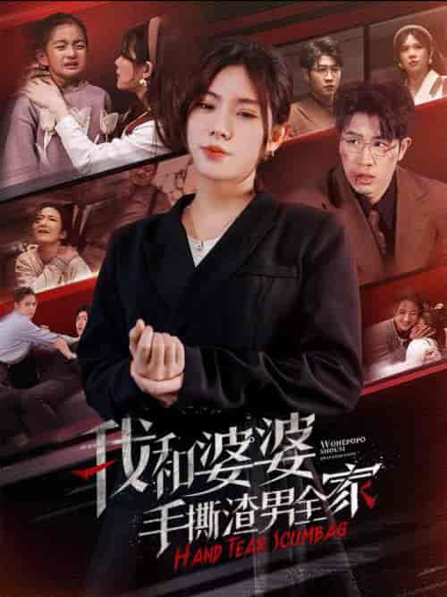 我和婆婆手撕渣男全家＆手刃家庭暴力（60集全）-紫橙资源网