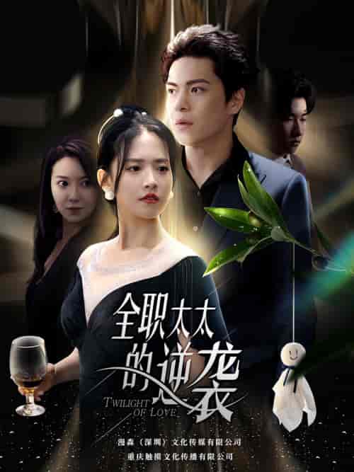 2婚光芒万丈（80集）-紫橙资源网