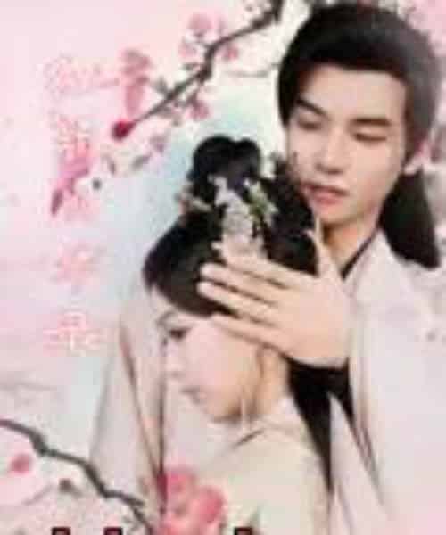 红颜风华录（85集）刘雨涵＆曹伟峰-紫橙资源网