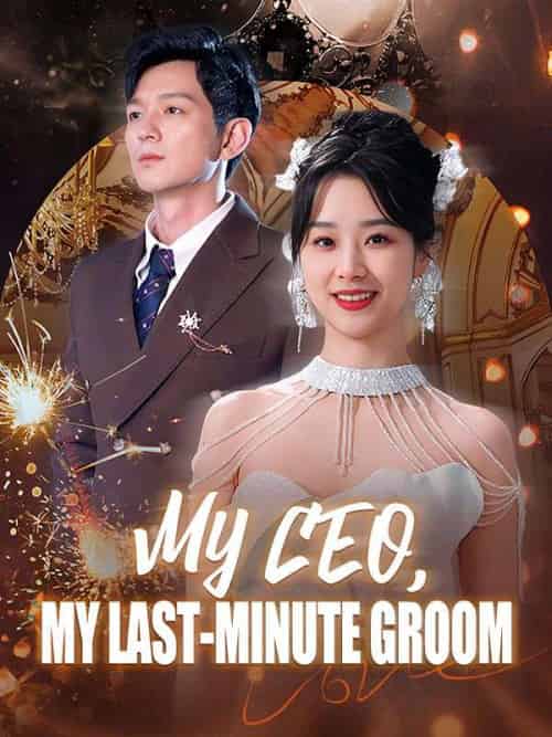 My CEO, My Last-Minute Groom（81集）-紫橙资源网