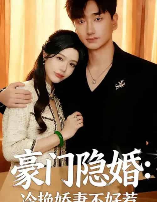 豪门隐婚:冷艳娇妻不好惹(38集全)李熠羽&毕嘉祥-紫橙资源网