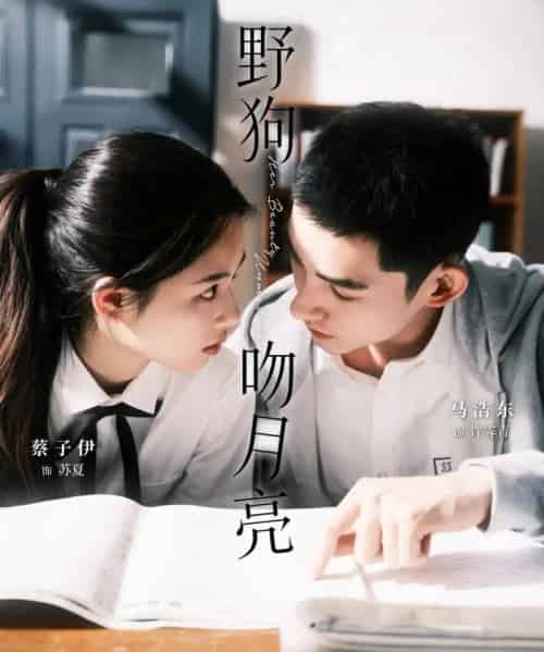 野狗吻月亮（68集）马浩东＆蔡子伊-紫橙资源网