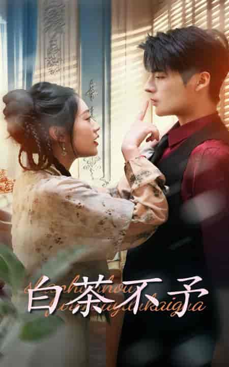 白茶不予(68集全)潘欣懿&段美洋-紫橙资源网