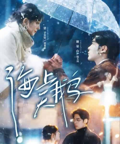 海上天鹅(70集全)陆天玮&唐幕佳-紫橙资源网