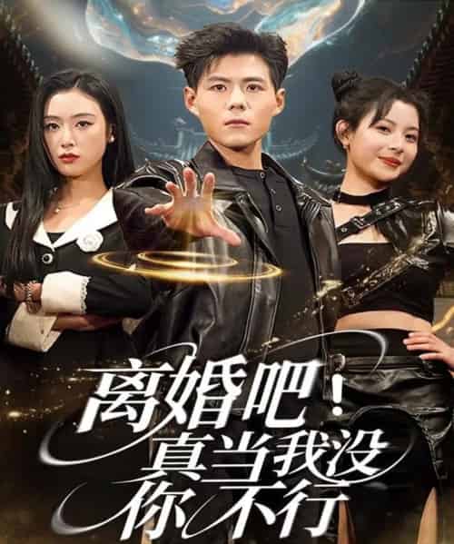 离婚吧！真当我没你不行（69集全）郭建清＆李文瑞-紫橙资源网