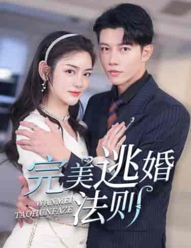 完美逃婚法则(77集)-紫橙资源网