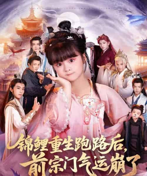 锦鲤重生跑路后前宗门气运崩了（73集全）黄骞＆黄博斯-紫橙资源网