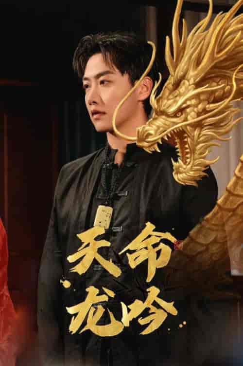 天命龙吟（48集全）-紫橙资源网