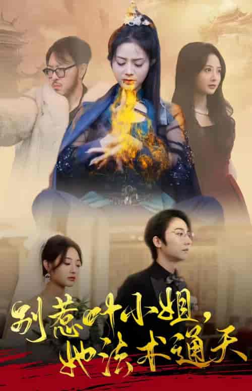 别惹叶小姐，她法术通天（91集）-紫橙资源网